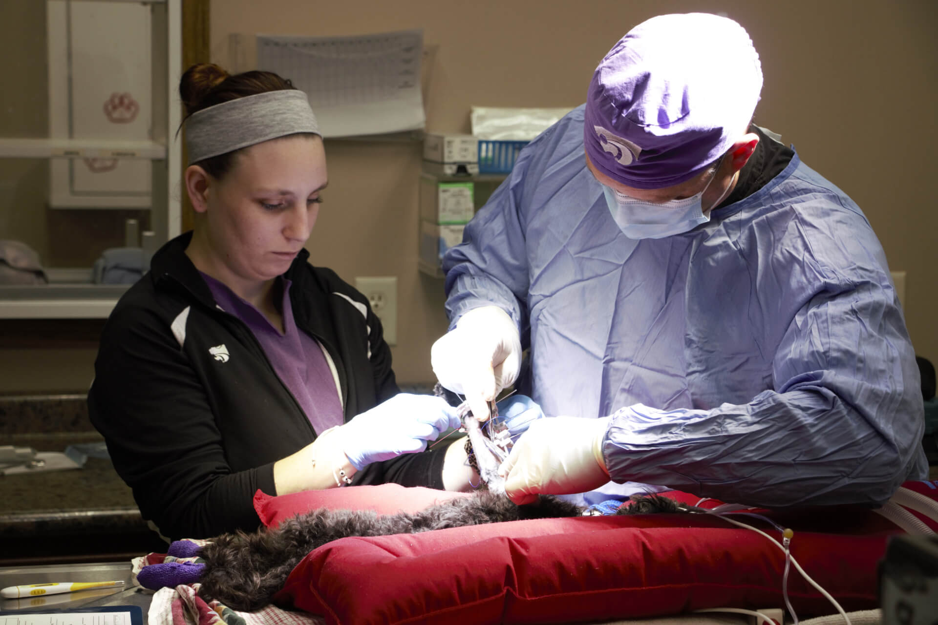 Orthopedic Surgery