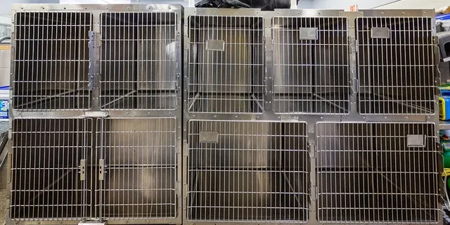 surgery kennel