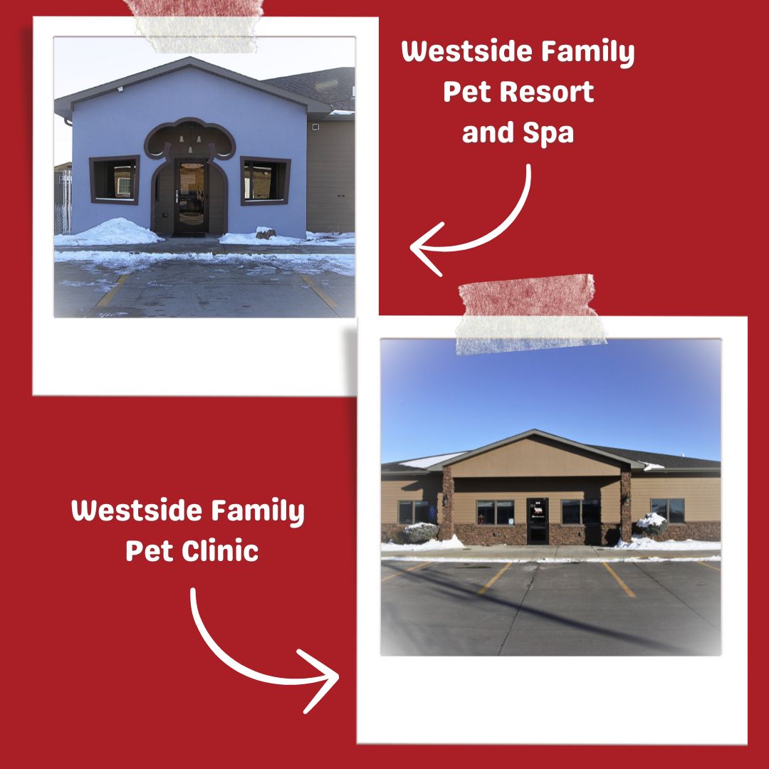 Westside Family Pet Clinic, Norfolk NE