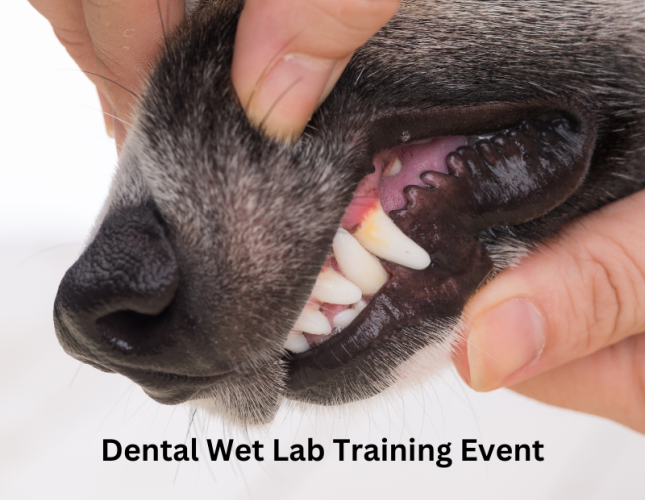 Dental Wet Lab at Northeast Community College