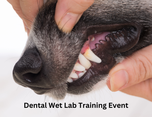 Dental Wet Lab at Northeast Community College 